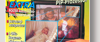 PIP-Prozessor (1)