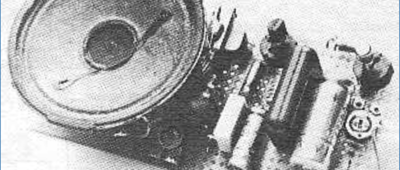  HiFi-Festk&ouml;rper-Kanarienvogel 