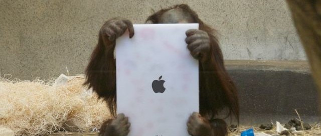 Apps for Apes