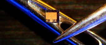 Une brillante jeune première de... 50 ans !