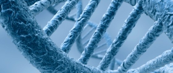 L'ADN a bonne mémoire