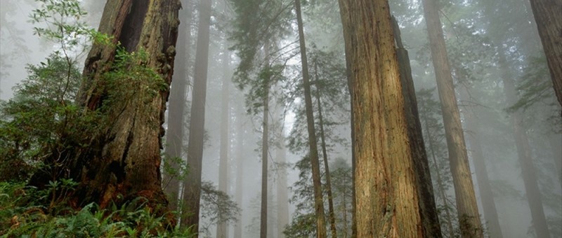 Welcome to Tech the Future 2.0!