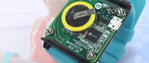 Build your own fitness watch