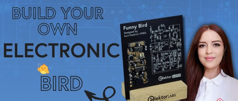 Bauen Sie Ihren eigenen elektronischen Funny Bird!