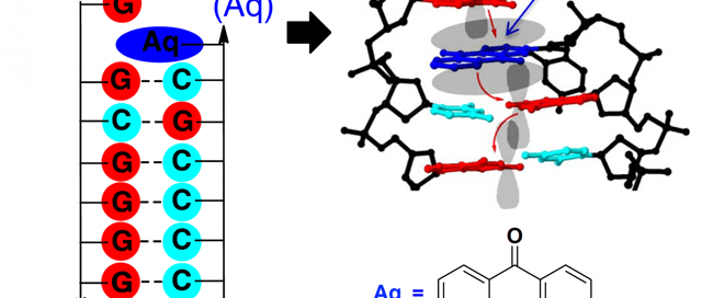 Elektrischer DNA-Schalter