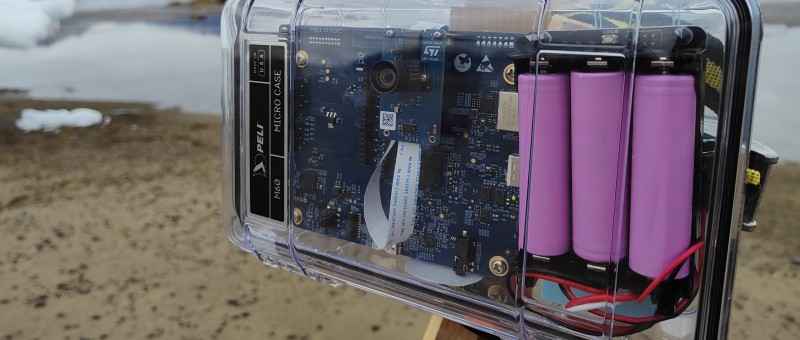 Arctic Wildlife Monitoring Using Edge AI