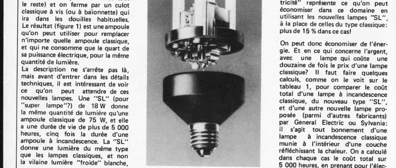 Selektor 1980-07/08