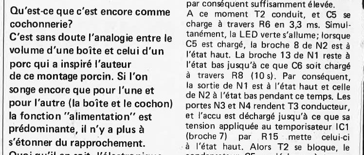 nicad pur porc