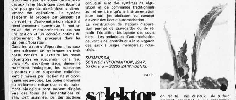Selektor 1981-02