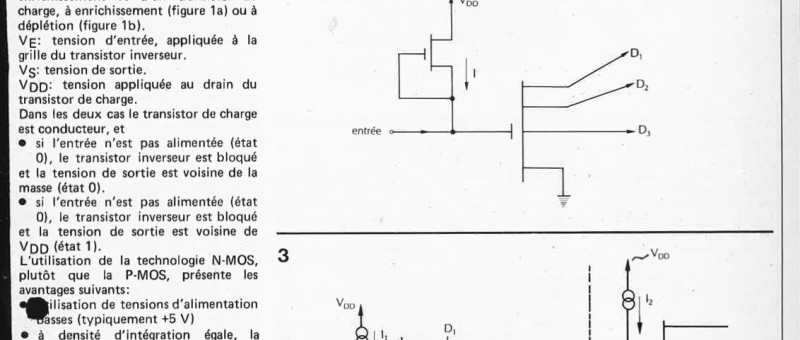 Selektor 1981-05