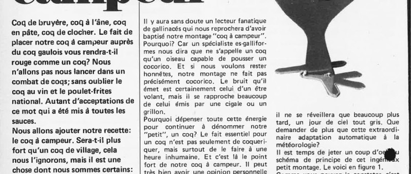 coq à campeurs