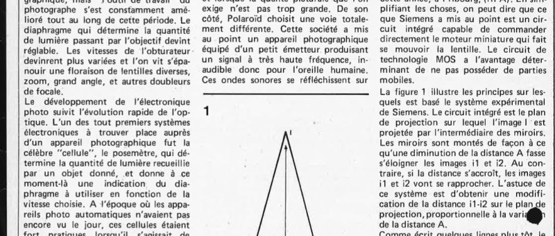 Selektor 1981-12