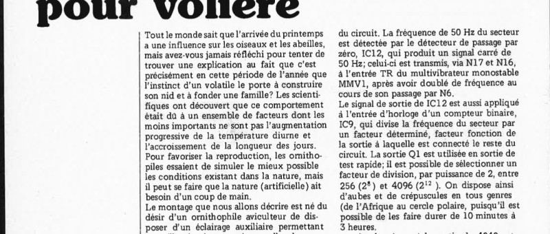éclairage réaliste pour volière