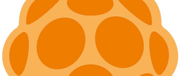 framboise aromatisée à l’orange