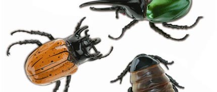 Vrais insectes ou faux robots ?