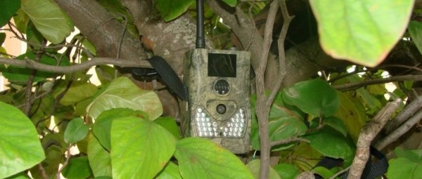 Caméra de surveillance sans abonnement