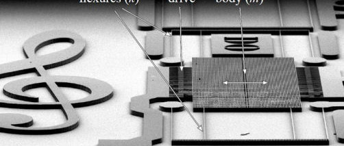 Microlo, plus petit qu'un piccolo