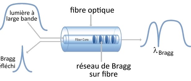 Capteur de température optique
