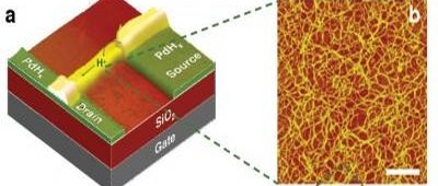 Novel transistor uses protons for charge transport