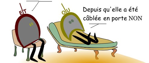 Des bactéries qui font des 1 et des 0