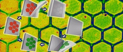 Nanolijm is ultradun en superkrachtig