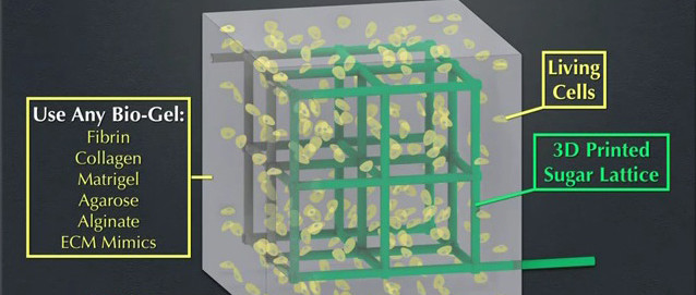 Frankenstein würde Reprap kaufen