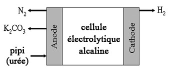 Pipi électrique