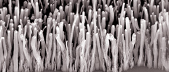 Forêt de nanotubes pour énergie verte