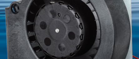 Le silence des radiaux