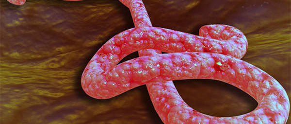 Nanotechnologie contre Ebola