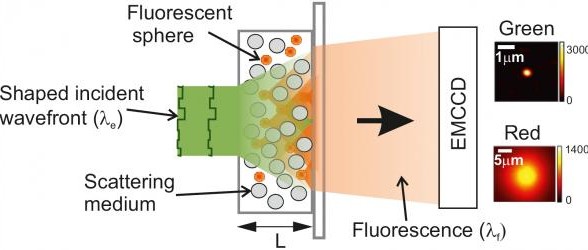 Déformer la lumière pour améliorer le rendement des LED et des cellules solaires