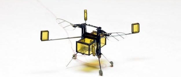 RoboBee : rien à envier aux insectes volants