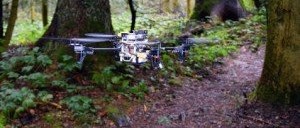 Système de navigation forestière pour drones