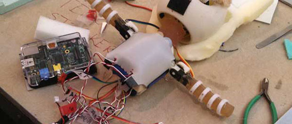 Une loutre au cœur d’Arduino