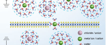 Biologie cellulaire : électrons et ions = même Coulomb