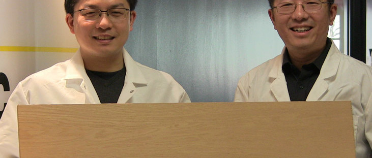 Bois transformé aux propriétés exceptionnelles