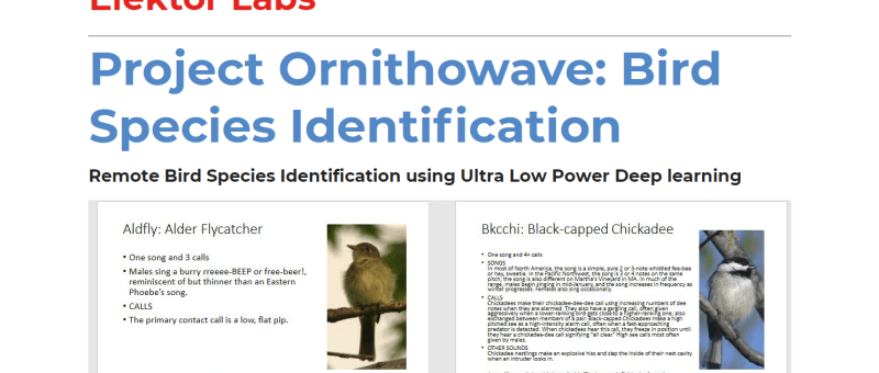 Project Ornithowav: Bird Species Identification