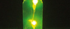 Iluminación para botellas de vino