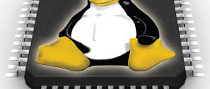 Linux on a Chip