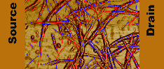 Les nanotubes font couler beaucoup d'encre... semi-conductrice