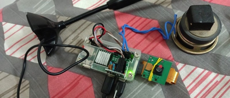Interazione Vocale con Raspberry Pi Zero