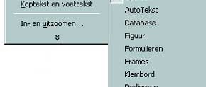 Programmeren met Word