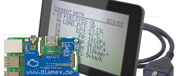 Handheld OBD2-analyser op de Raspberry Pi
