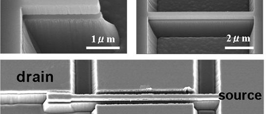 Les nems font de bons commutateurs