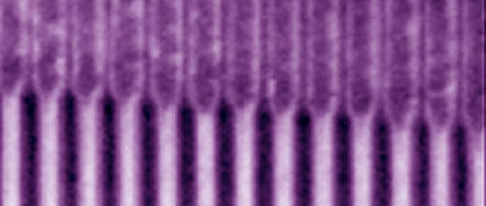 Massaproductie nanotechnologie niet haalbaar?