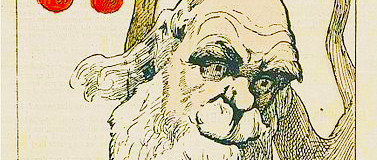 Darwin ne l'avait pas vue venir... l'électronique évolutive