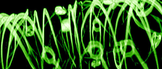 Électronique (cyb)organique