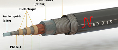 C'est long, c'est vert, c'est froid, c'est l'avenir