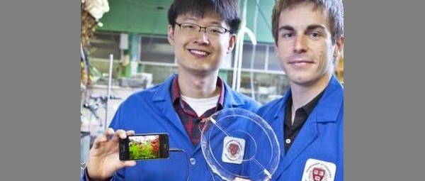 Transparante ionen-luidspreker