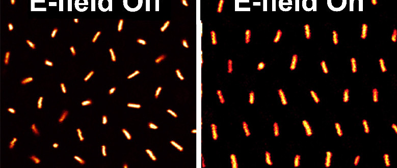 Plastische kristallen reageren op elektrisch veld